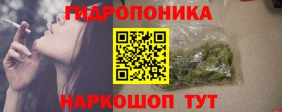 индика Мариинск
