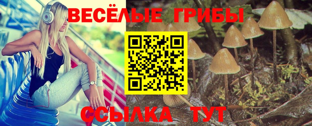 Псилоцибиновые грибы GOLDEN TEACHER  Вход с VPN  Губкинский  где найти   Псилоцибиновые грибы мухоморы 